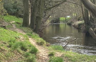 Shepherds hut, Eco, Log burner Hot tub NY moors - Foto 14