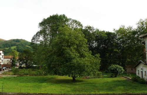 Apartamento Rural Elizondo - Foto 27