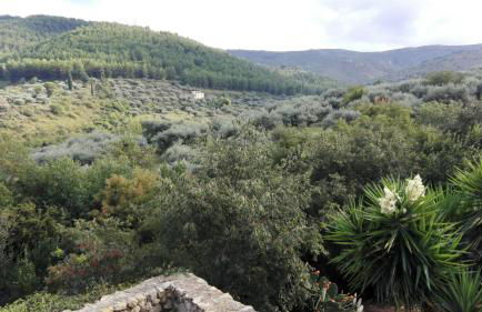 Le Case Di S. Andrea - Foto 72