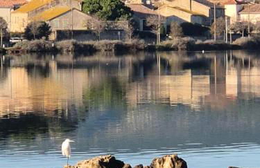 Villa Avec Piscine Spa Et Sauna - Foto 8