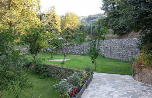 Guesthouse To kalivi - Foto 44