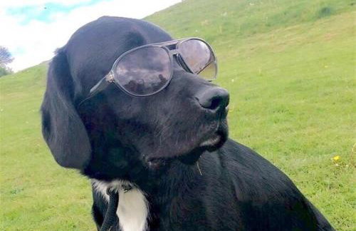 Stable Cottage - Foto 35