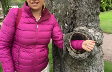 Guest House An der Truse - Foto 47