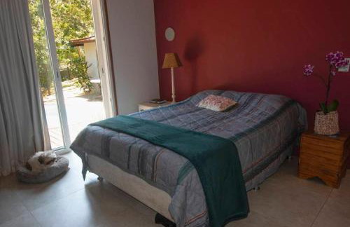 Canto dos pássaros - Foto 19