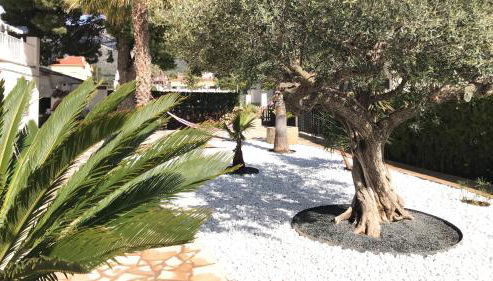 Apartamentos Playa D y G - Foto 4, Garden