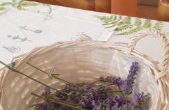 A casa de Fiore - Foto 18