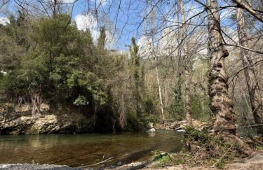 La Casuca ONE De Lebeña - Foto 3