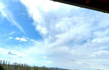 L'Espérance vue sur la Loire et la vigne 2 - Foto 15