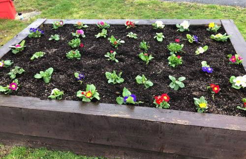 Pinto Holiday Home Oakdene Forest Park Passes Inc! - Foto 31