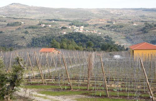 Casa do Feitor - Douro - Quinta da Cabrida - Foto 64