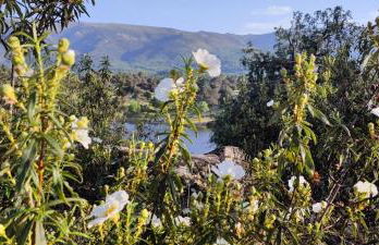 Casa rural El rincón de Gredos - Photo 37