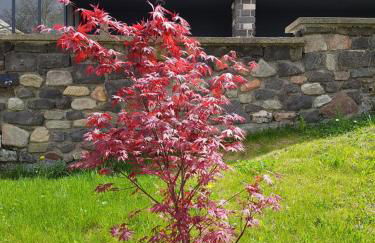 HippoLits - Photo 50