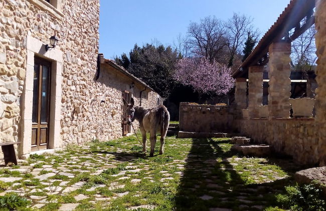 Giardino Donna Lavia - Photo 13
