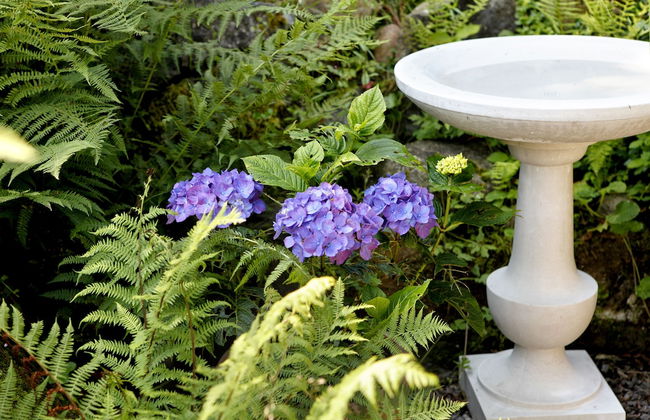 Chalet am Birkenhain - Foto 40