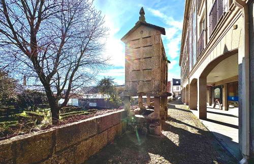 Apartamento Laya - Foto 13