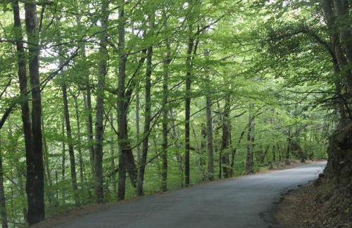 CASA das Leiras - Foto 72