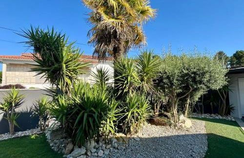 Casa da Anta - Foto 6