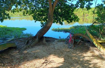 Suites da meninas - Foto 11