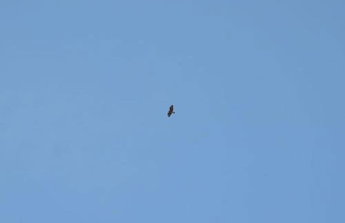 Holiday Apartment Nature View - Foto 35