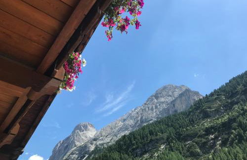 Cesa Mandi e Miky - Foto 17