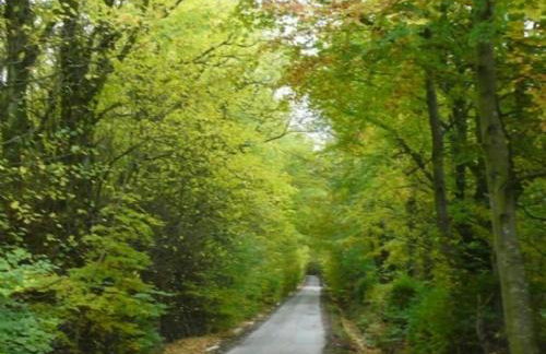 Whitbarrow Holiday Village Troutbeck 5 - Photo 12