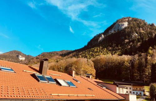 Buchwinklblick - Foto 7