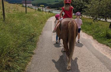 Fewo Schwarzwälder Blattert - Foto 14