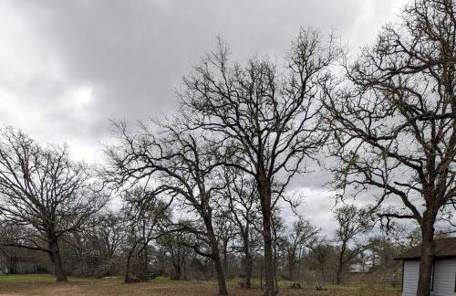 The Cedar House - Foto 17