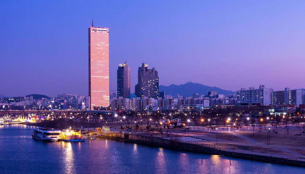 Han River Cruise - Foto 2