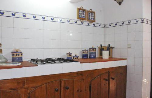 Monte Pinheiro - Foto 13