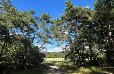 TOP-Ferienwohnung bei Berlin, bis 3 Gäste, Terrasse und Garten - Foto 24