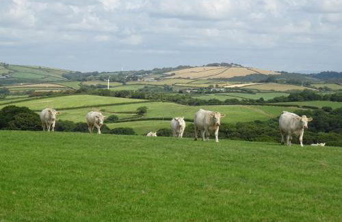 Penfound Country Cottage - Foto 14