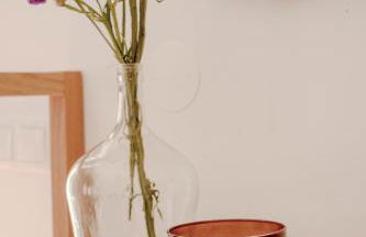 Quinta Alto da Capela - Foto 56