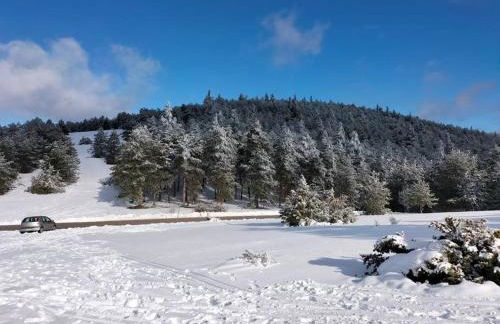 Vivi la natura PT - Photo 9