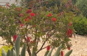 Villa con piscina panoramica a San Leone Agrigento - Foto 37