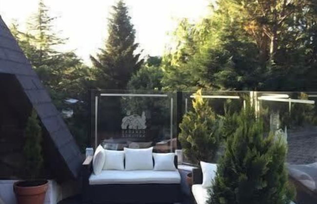 Cabañas Antilhue - Foto 20