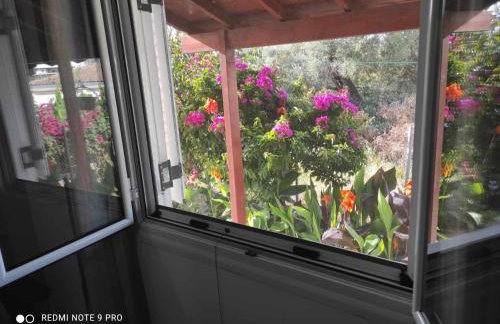 Aglaia House - Foto 12