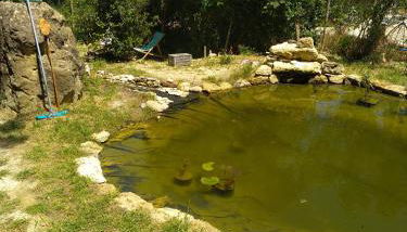 Sous un chêne bicentenaire - Foto 3