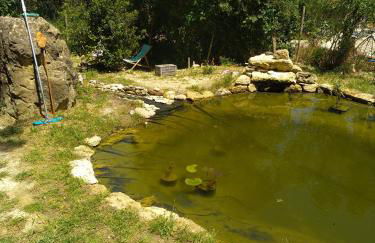 Sous un chêne bicentenaire - Foto 3