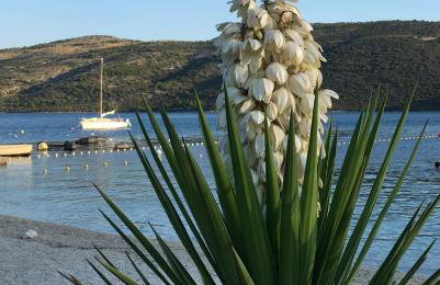 Villa Ludilo mit 4 Apartments in Poljica - Marina bei Trogir Split - Photo 70