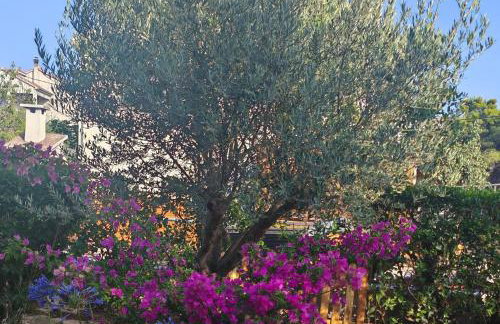 Apartments with garden - Foto 50