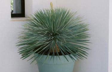 La Perle Rose Villa Standing 5 étoiles avec piscine jacuzzi et superbe vue - Foto 53