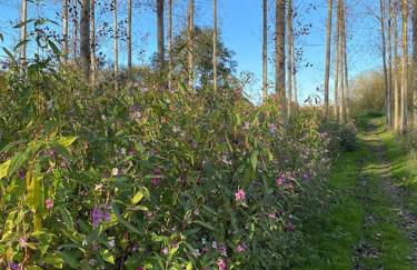 Serafina Cottage - Foto 32