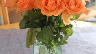 Haus Seerobbe-Obergeschosswohnung - Foto 3