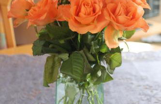 Haus Seerobbe-Obergeschosswohnung - Foto 3