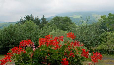 Olaskoaga Goikoa - Foto 5