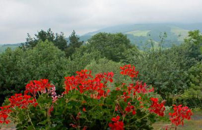 Olaskoaga Goikoa - Foto 5