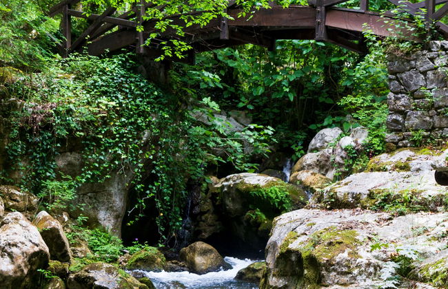 Excursion à l'Oasis de Morigerati - Photo 1