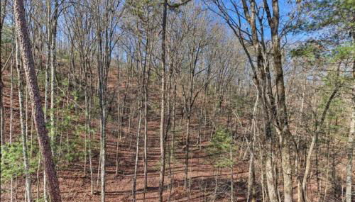 New Serene, Fun & Comfy Cabin- Covered Deck, Grill, Arcade - Foto 4