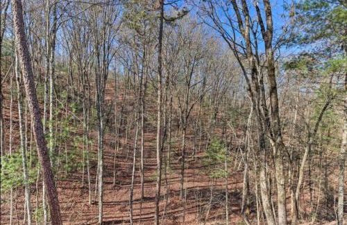 New Serene, Fun & Comfy Cabin- Covered Deck, Grill, Arcade - Foto 4